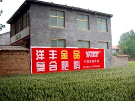 灵宝如何让墙体广告展现最大化效果