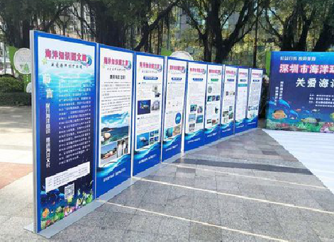 灵宝KT板的种类和知识。